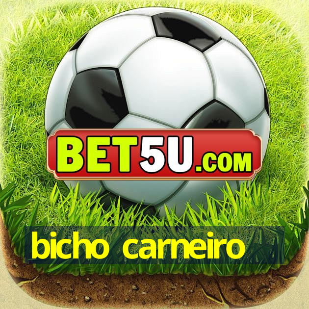 bicho carneiro